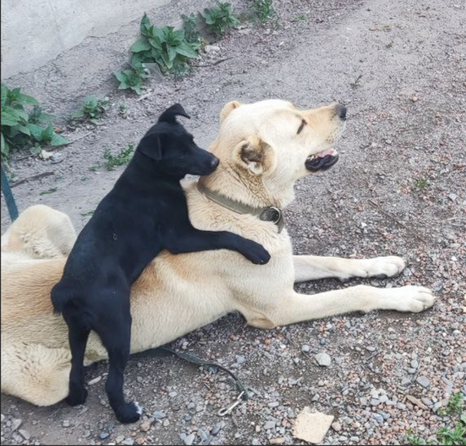 Из архива автора