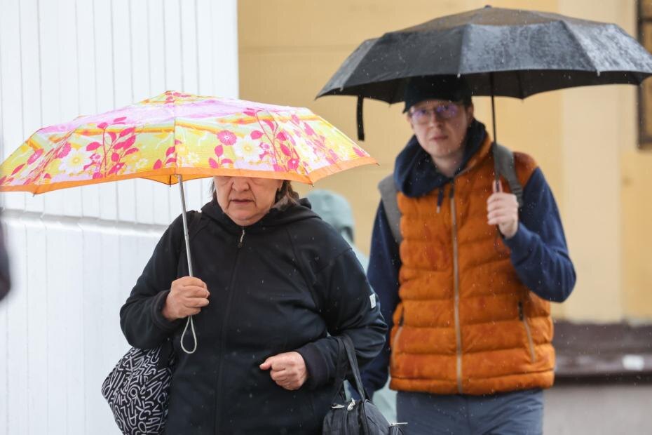    Алексей Белкин/NEWS.ru