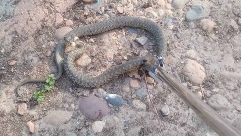      Фото: ПАСС СК