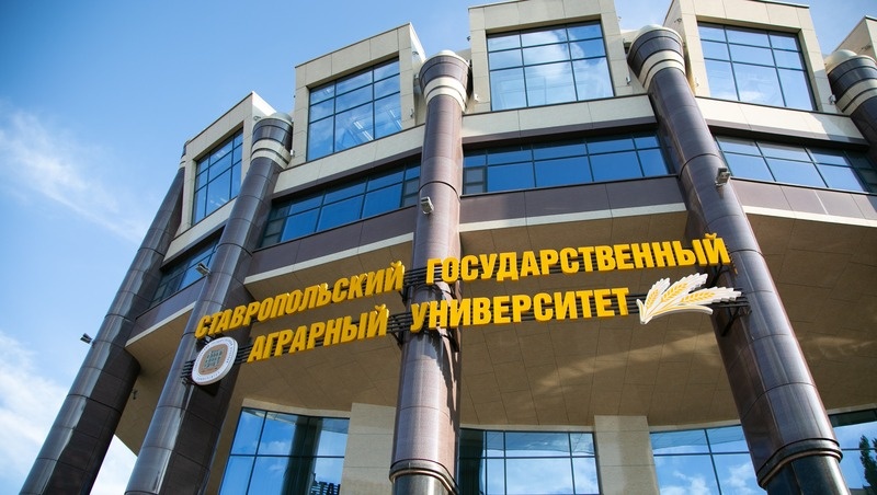      Фото: Валерия Алтухова / / ИА «Победа26»