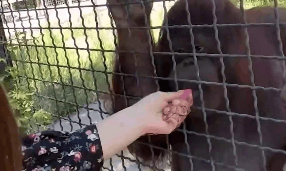    Фото из соцсетей Анастасии Лучкиной