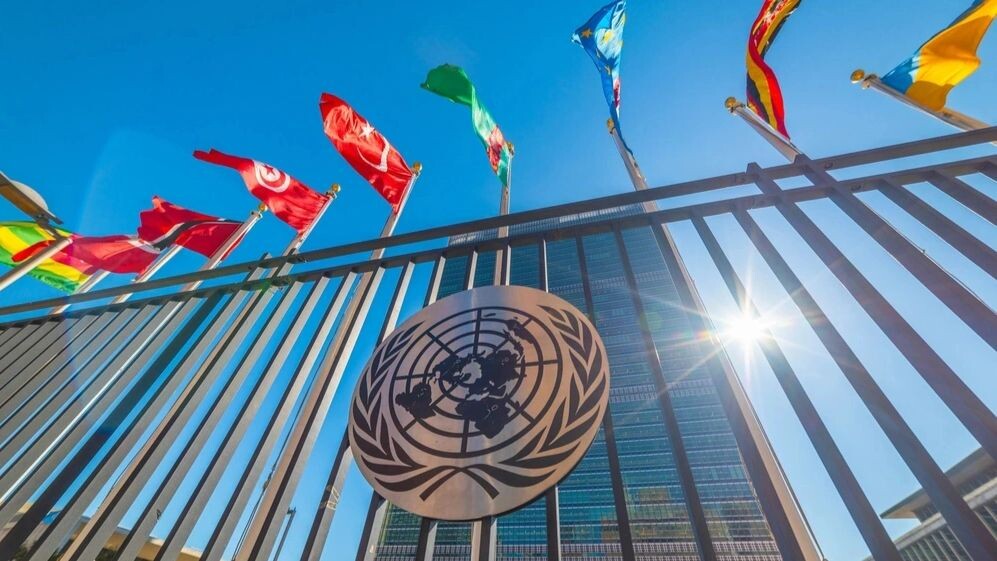    Фото: Gabriele Maltinti/Shutterstock/Fotodom