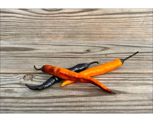 Острый перец Halloween Thai