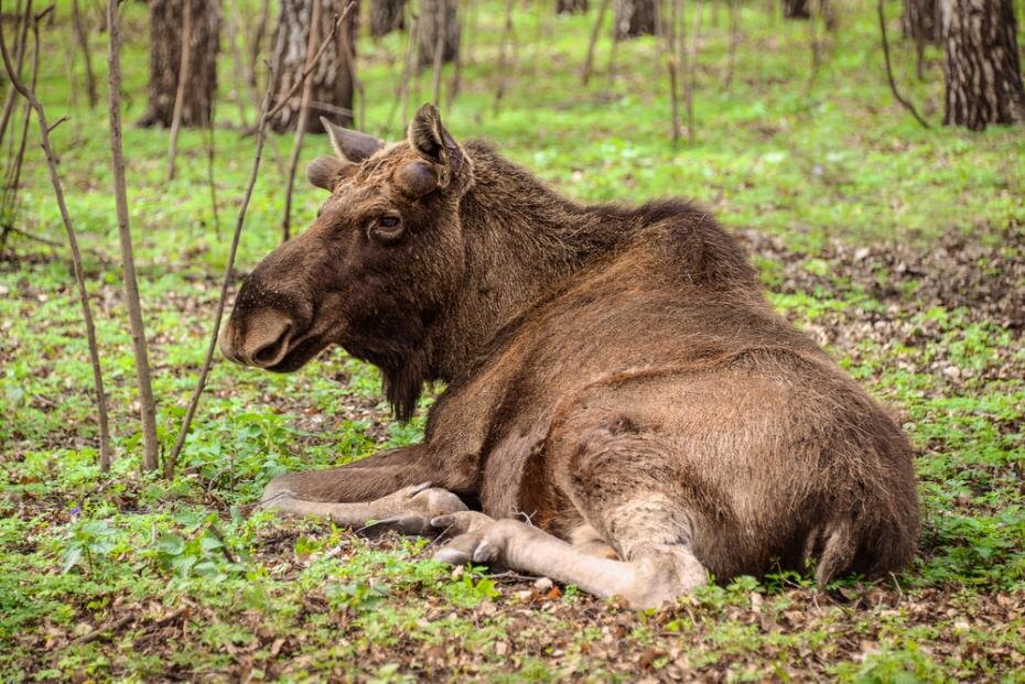    Shutterstock/FOTODOM