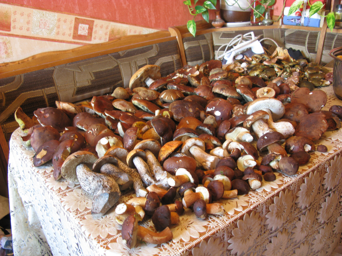 Фото Лидии Бам, Архив. Раньше я осень увлекалась польскими.