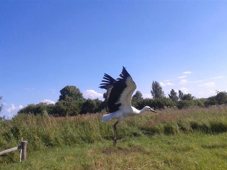    Фото: SmolNarod Юля Баранова