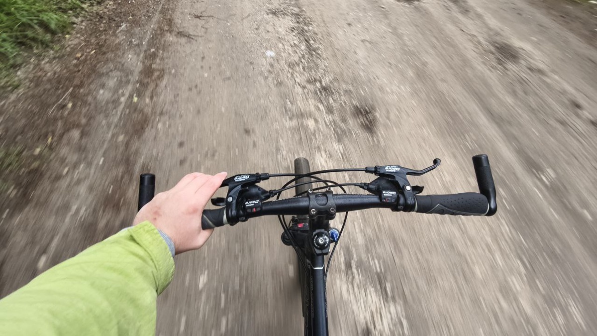 Это мой. Ему 10 лет. И еще через 10 картинка не изменится.