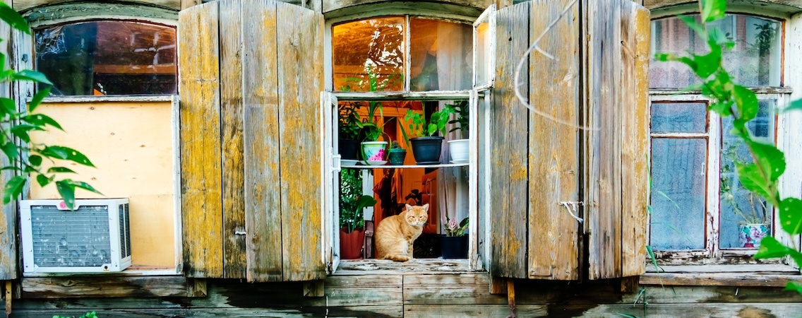 @fornStudio/Shuttrstock