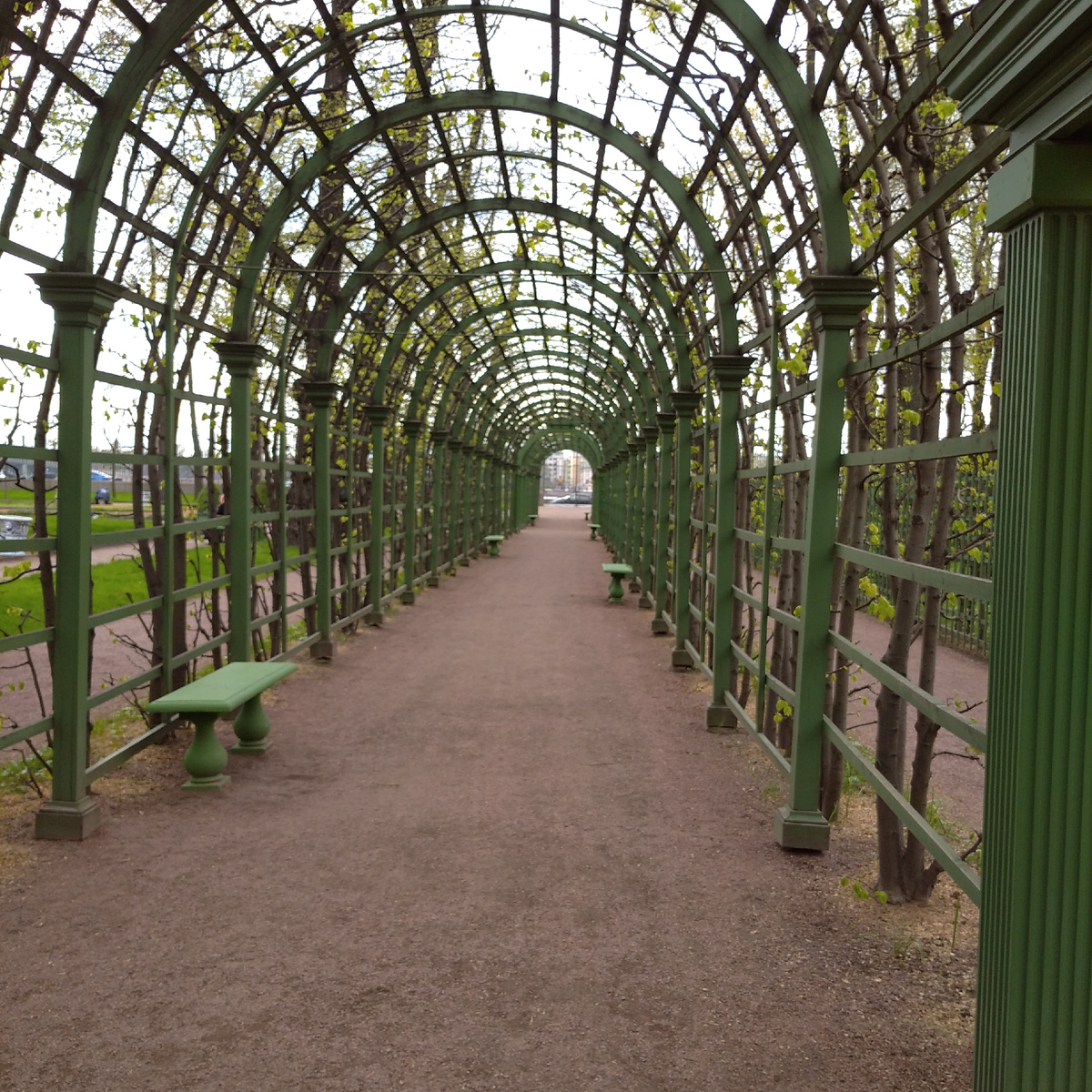 В Летнем  саду одиноко.