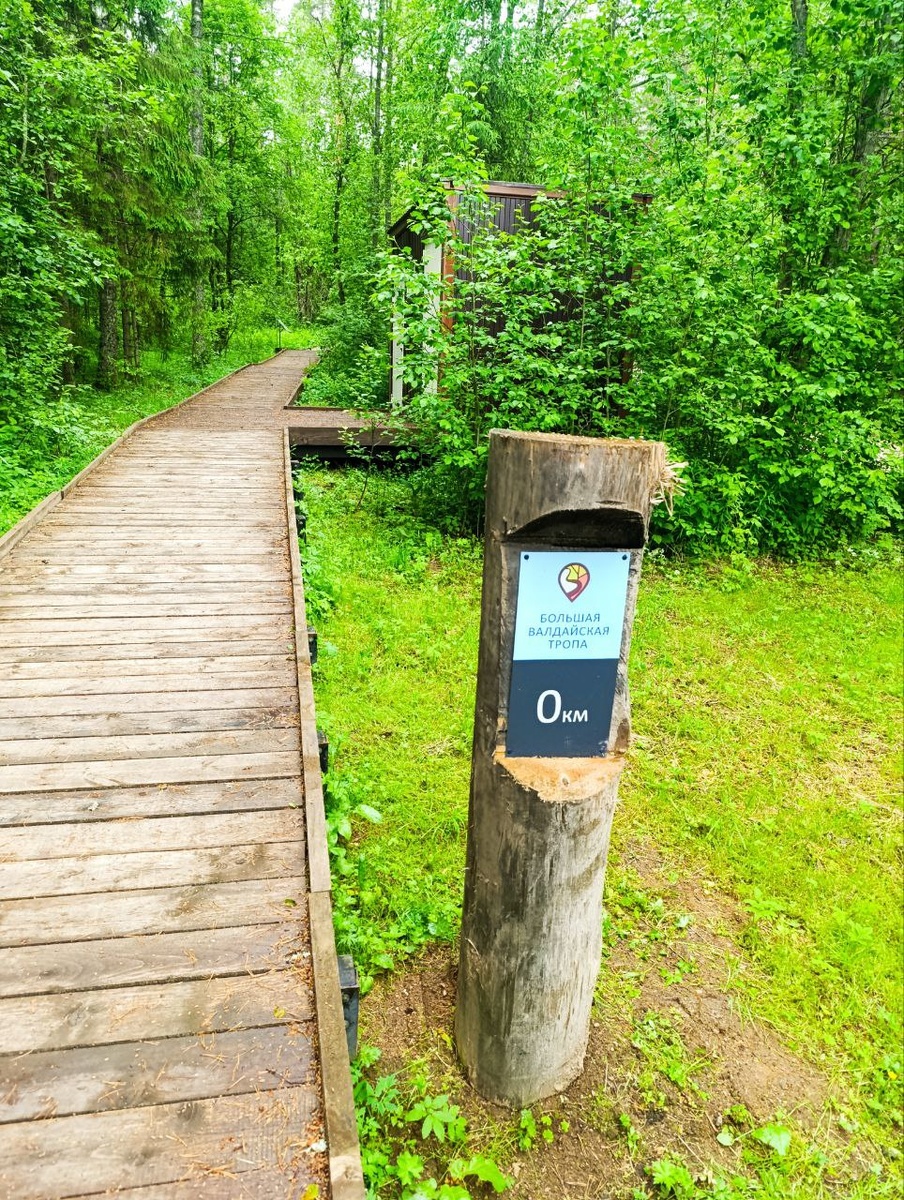 Впреди все самое интересное