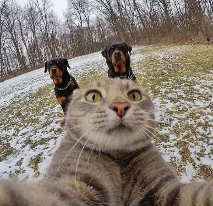Источник: www.reddit.com/r/blursedimages/