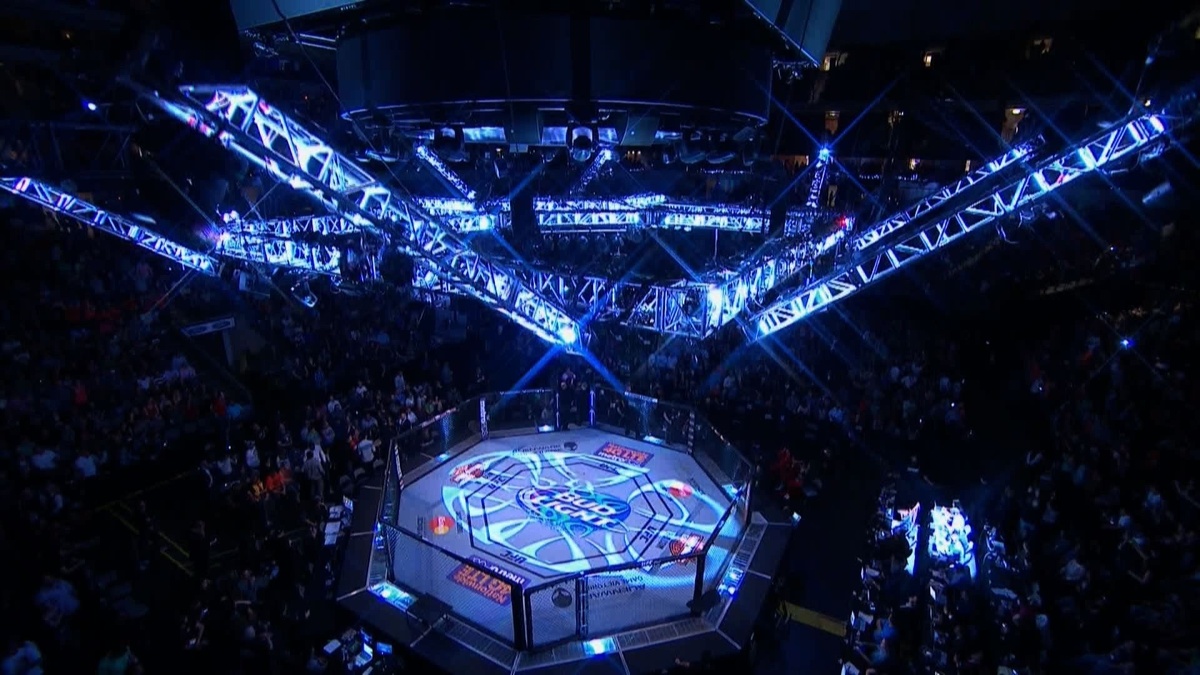 Октагон в ММА и UFC: Полное руководство по “Клетке”