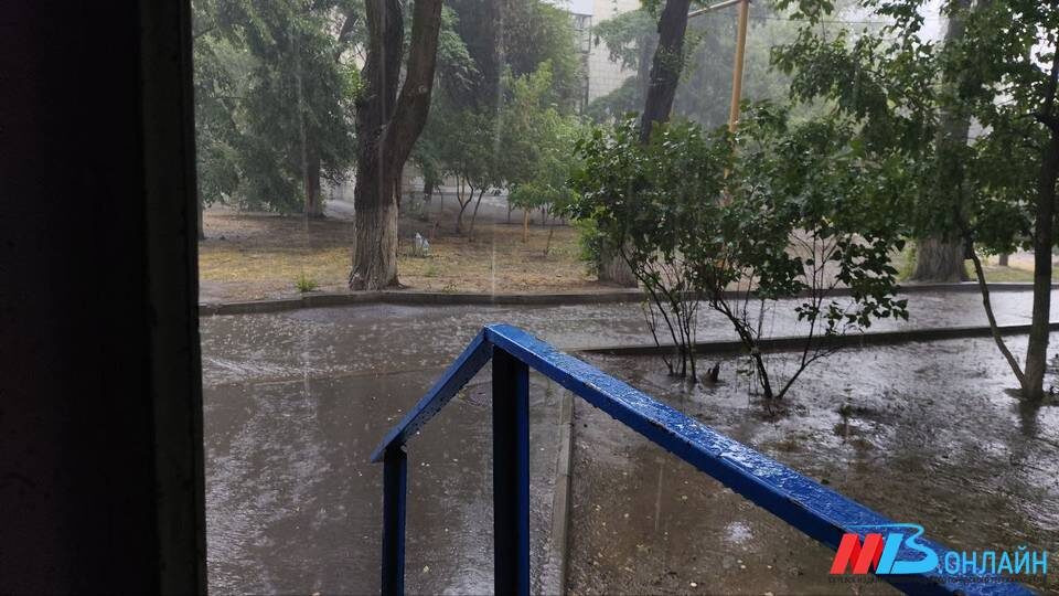    Фото: МТВ.ОНЛАЙН / Елизавета Денисова