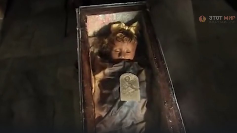 Фотоматериал из источника: https://ren.tv