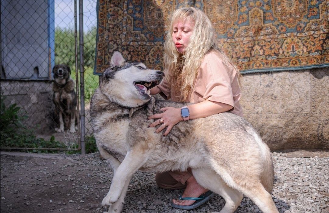 Да, забыла про обязательный вид программы: поиграть с хвостиками))). 