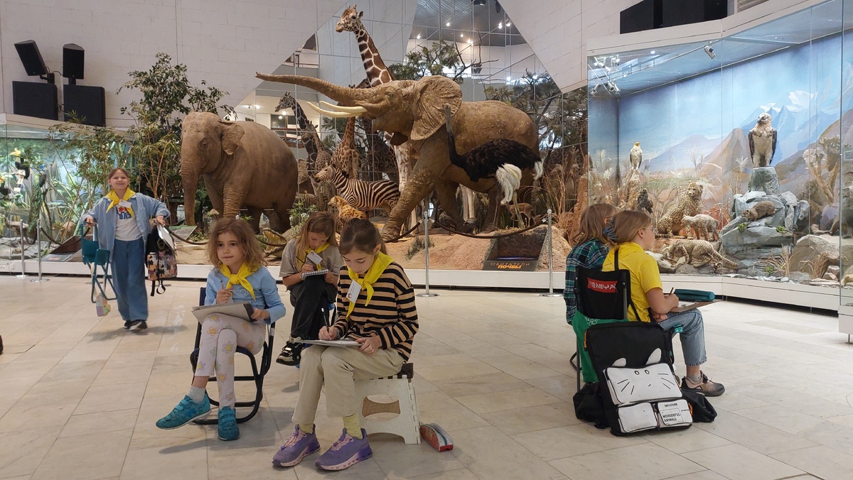 Фотография автора канала 