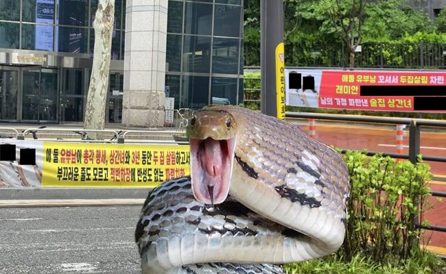 Баннеры от разневанной супруги перед офисом юридической фирмы на Каннаме / Фото: (с) rollonfriday 