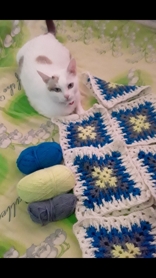 из моего архива