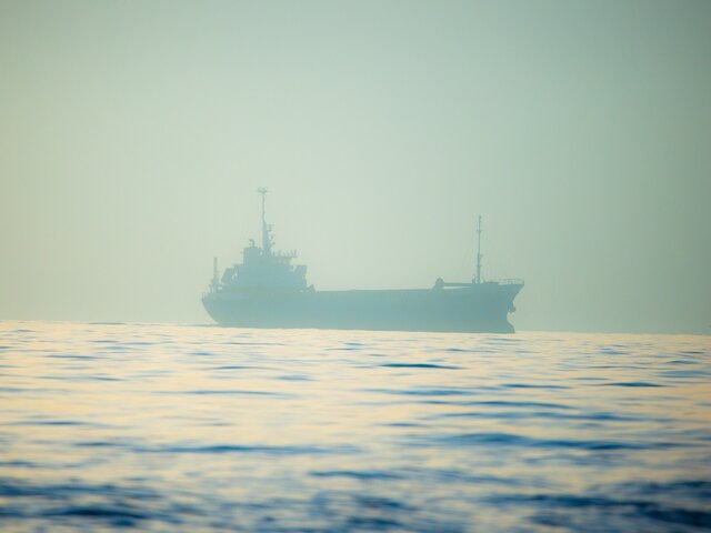    Фото: 123RF/dramaticphotographer