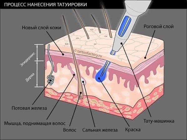 Спасибо tattoofactory за схему