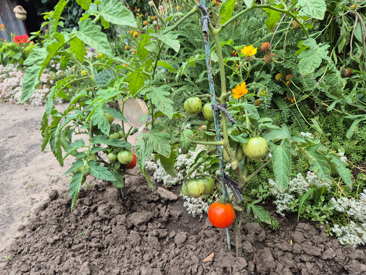 Фото автора.