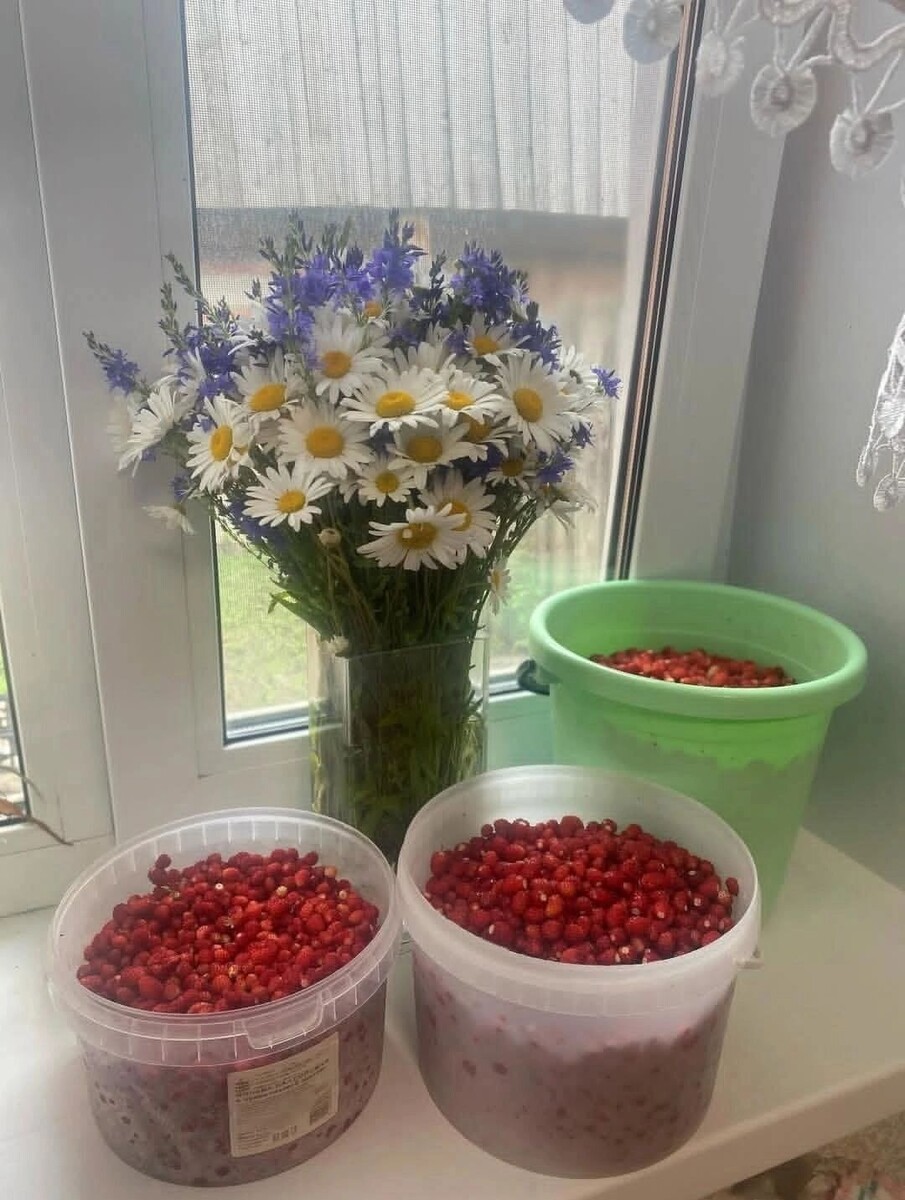     Автор: Ксюша Новикова Источник: «Тесный Белгород» в ВК (vk.com/tesnobelgorod)