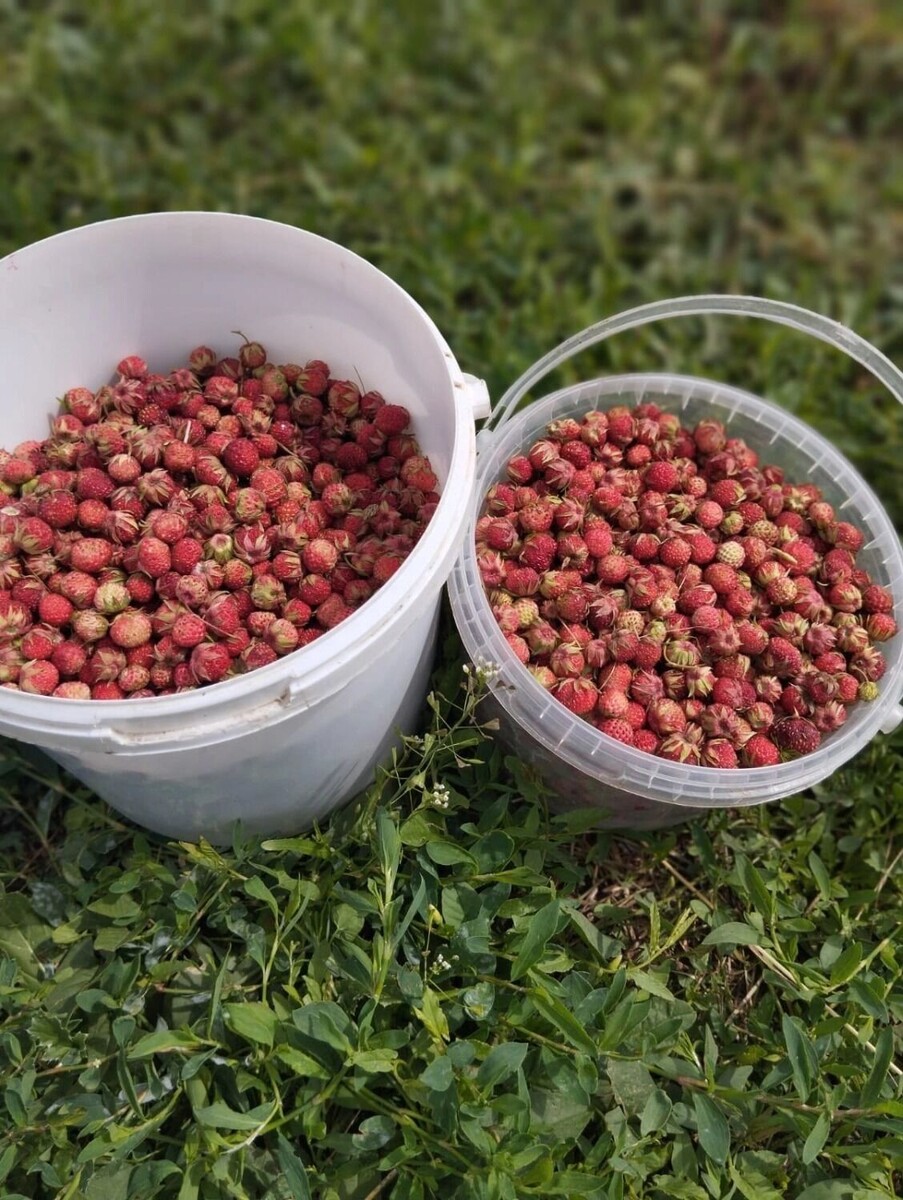     Автор: Мирослава Романченко Источник: «Тесный Белгород» в ВК (vk.com/tesnobelgorod)