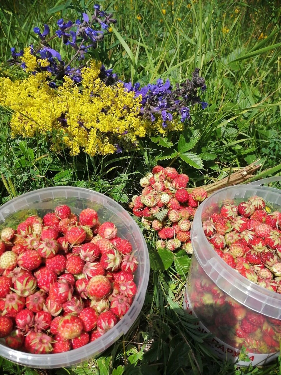     Автор: Антонина Калинина Источник: «Тесный Белгород» в ВК (vk.com/tesnobelgorod)