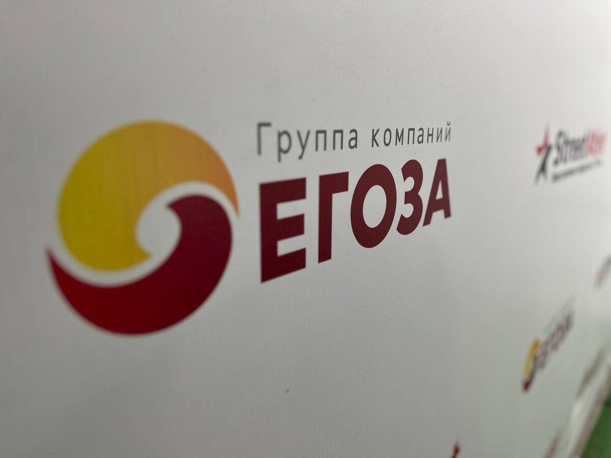 Компания Егоза