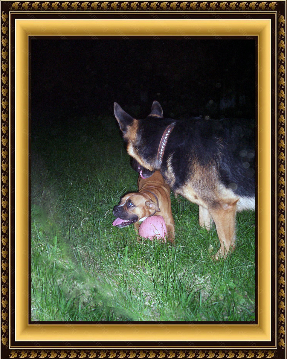 Фото из архива Ивановых и Рыжковых – ЮТА и НИК, 2009