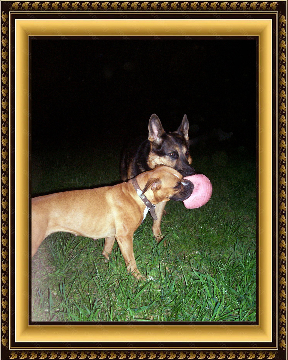 Фото из архива Ивановых и Рыжковых – ЮТА и НИК, 2009