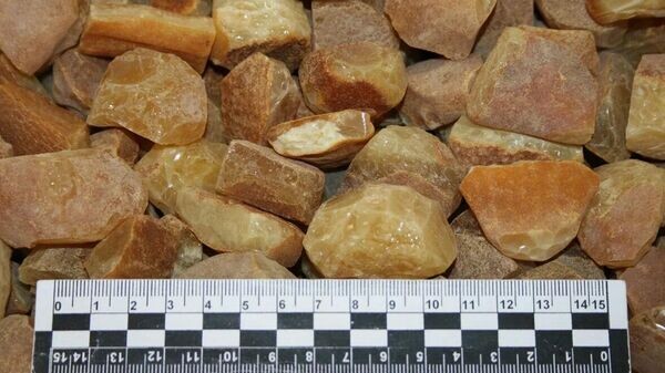    © Photo : Федеральная таможенная служба