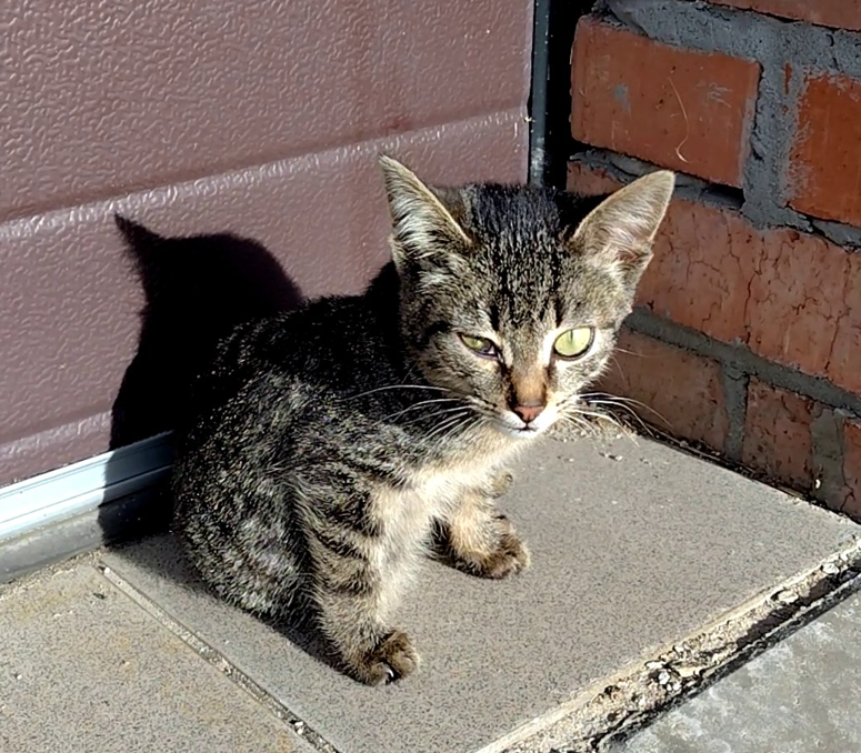 Ну была я в детстве на улице, ничего там хорошего