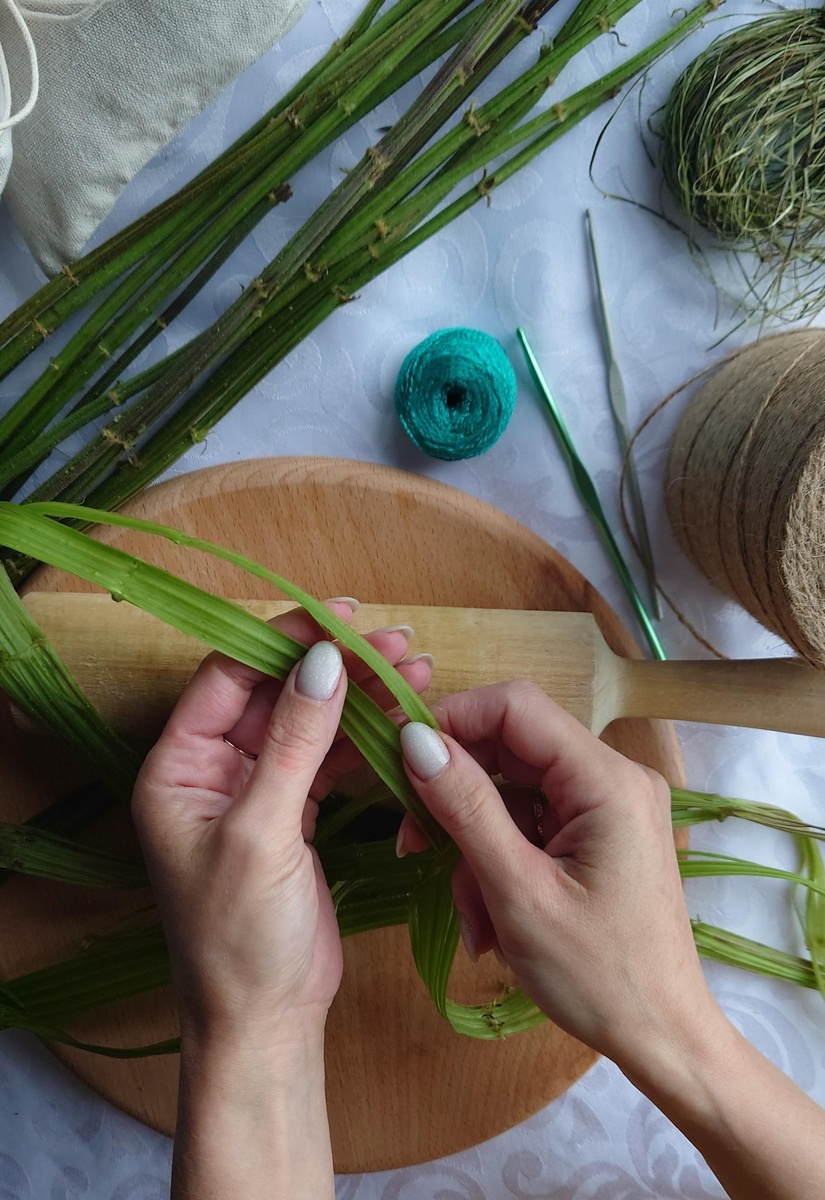 Стебель крапивы