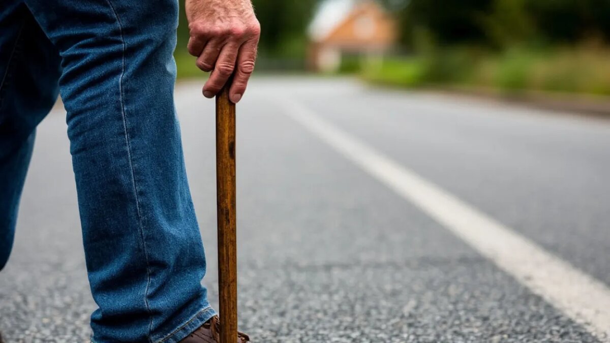    Сгенерировано ИИ