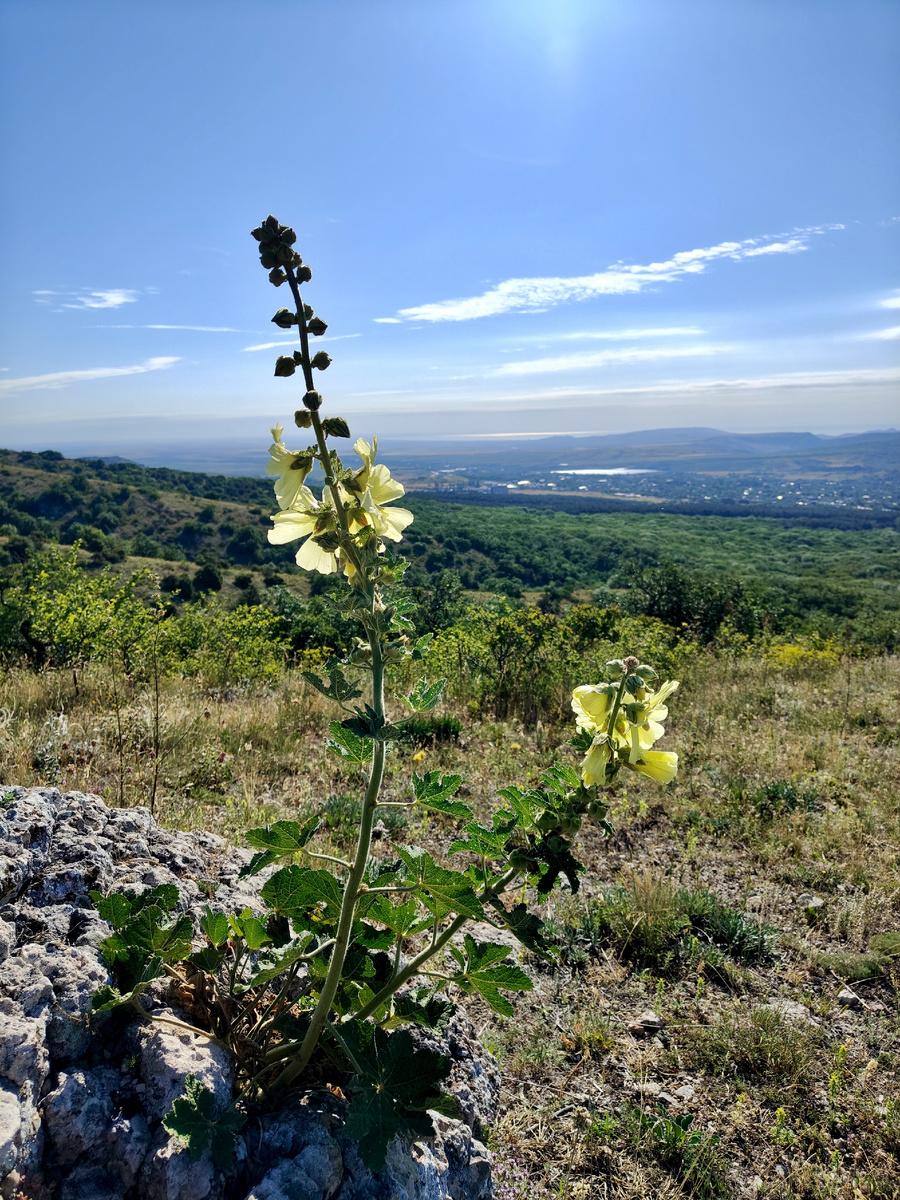 Просто утро
