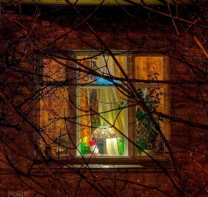 Из свободного доступа