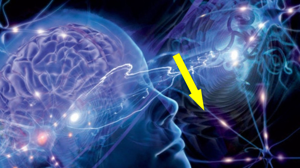    Жамевю: когда знакомое становится чужим