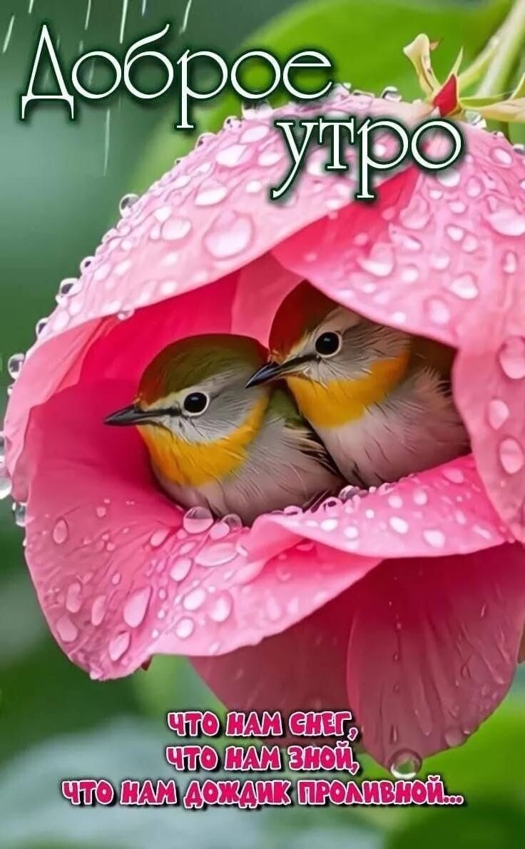 Фото из открытого источника в интернете.