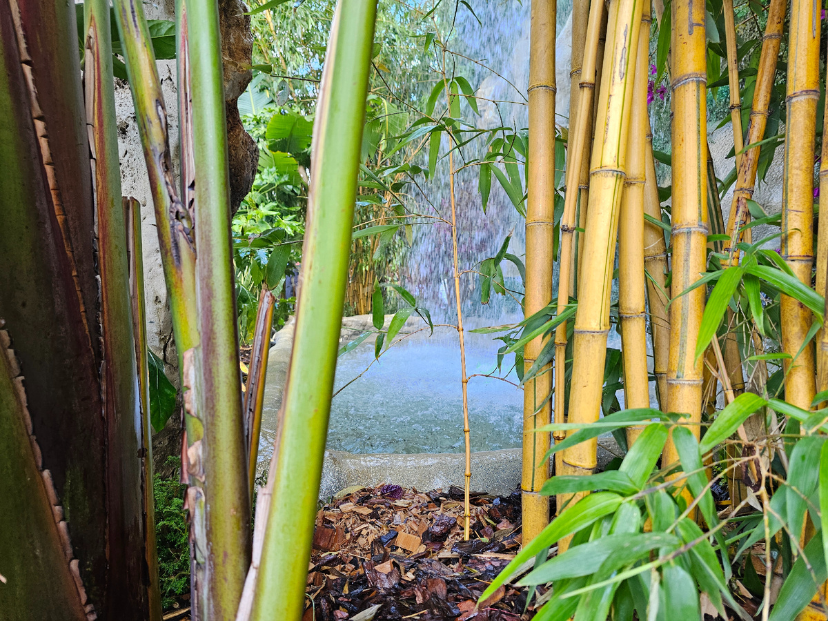 Манежная площадь, фото автора