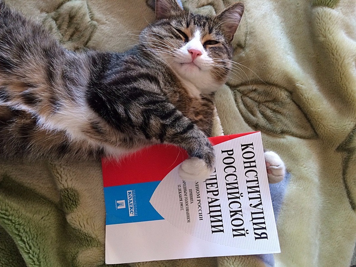 источник Яндекс-картинки