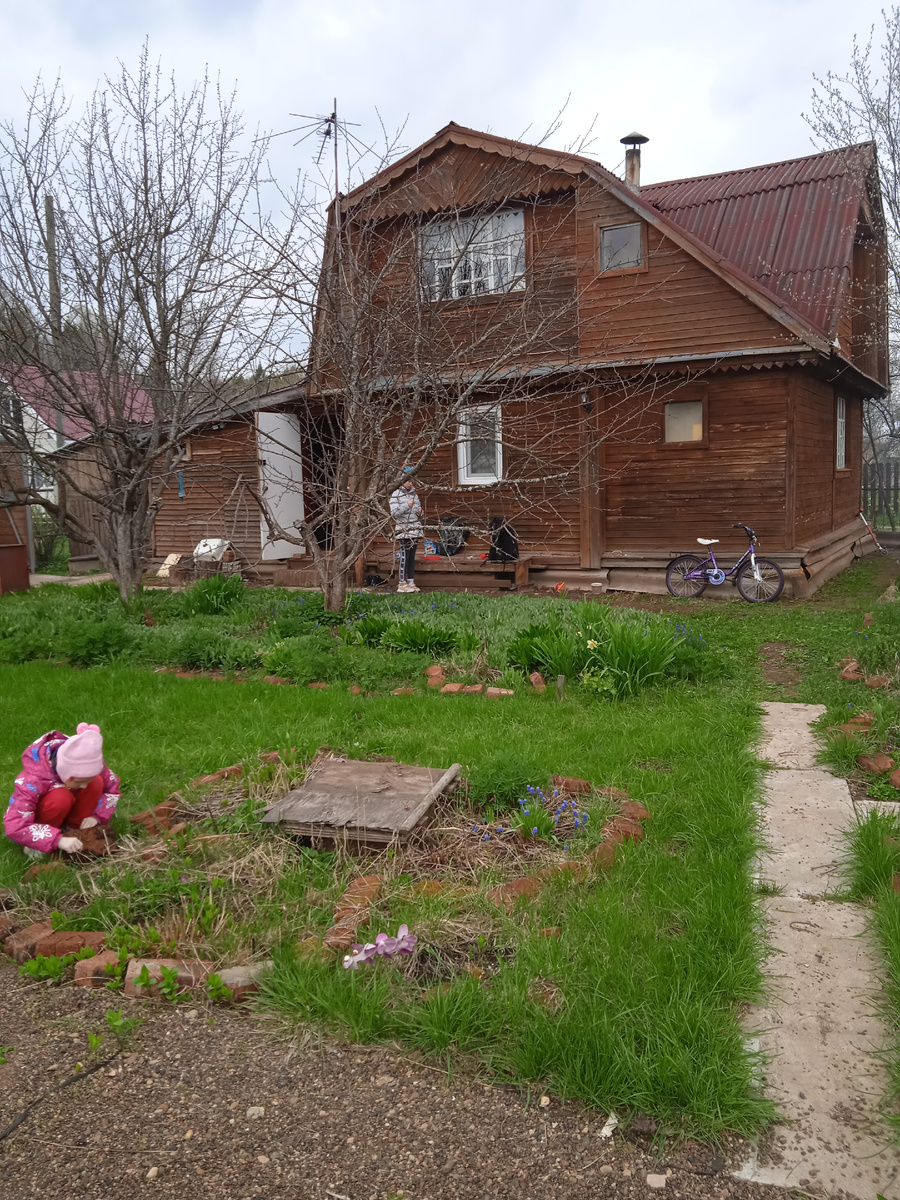 Детям интересно наблюдать за растениями, которые они сами посадили