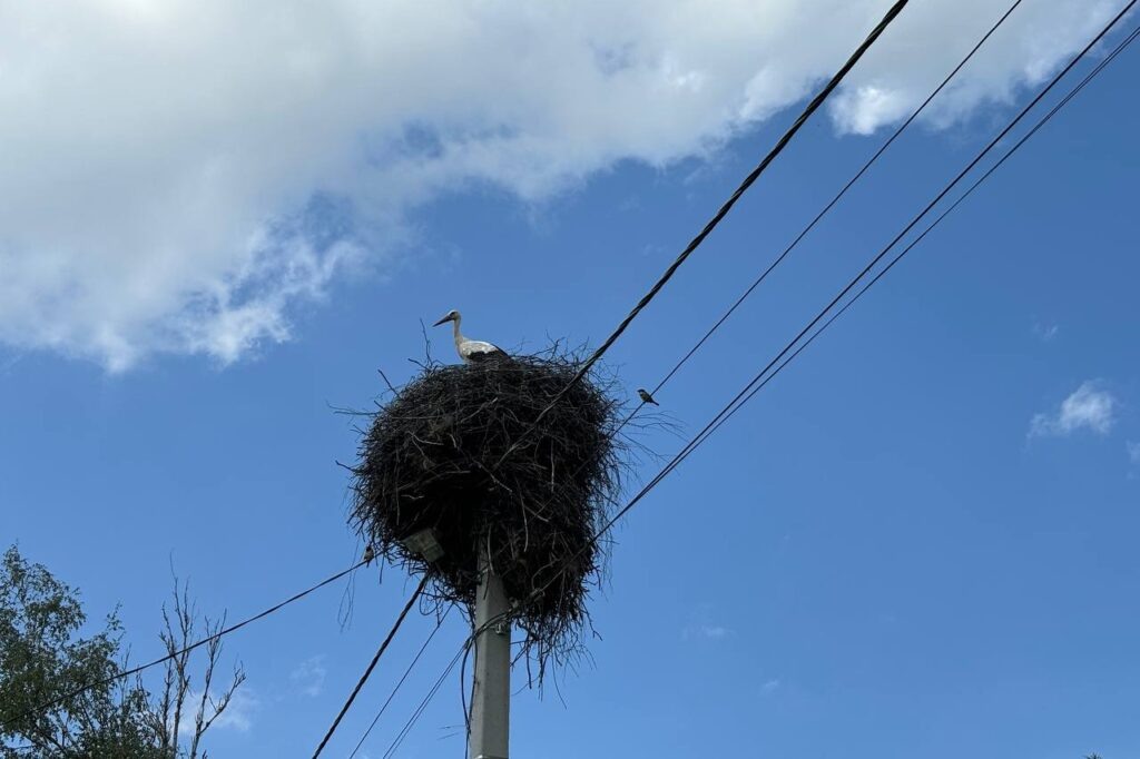    Фото: smolnarod.ru