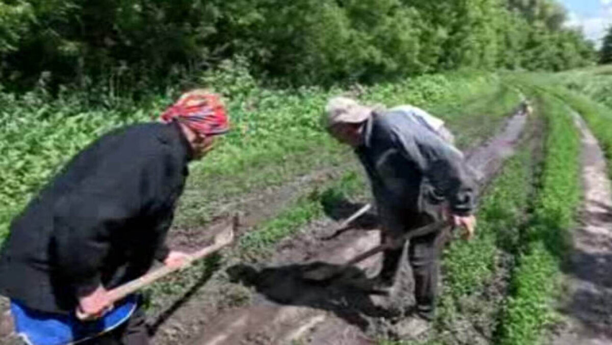    Хутор Свиридов в Курской области — без дороги