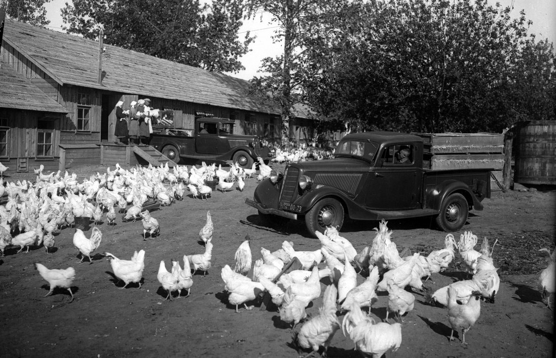 М-415 (1938 – 1941 гг.) создан на базе М-1. Грузоподъемность 500 кг. Выпущено 5383 штуки.