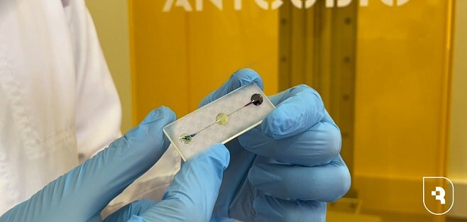    Фото: пресс-служба СГМУ. Экспресс-анализатор для выявления экотоксикантов в окружающей среде