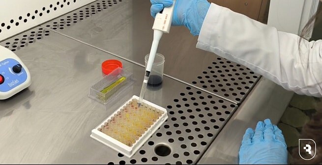    Фото: пресс-служба СГМУ