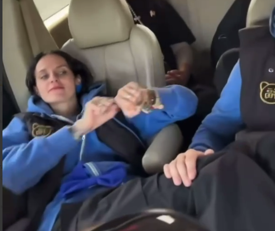 Яндекс картинки