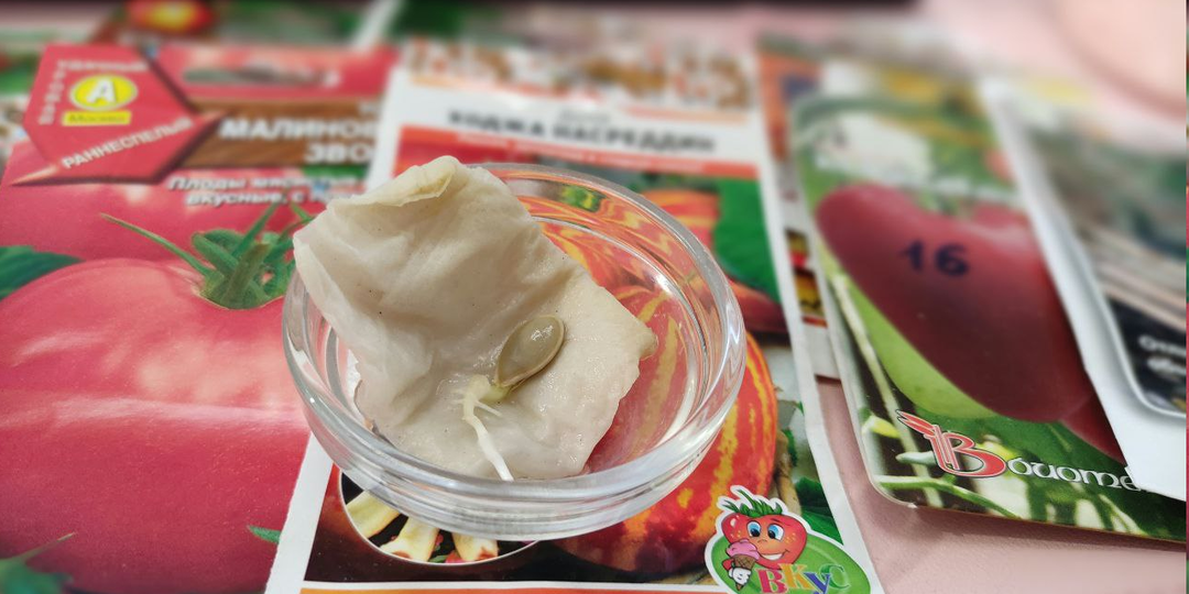 Июль это второй май! Сажать-непересажать! Что посадить в июле в огород и теплицу.