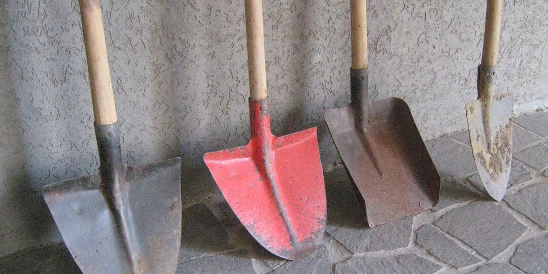 Лопата губит урожай: вот почему землю нельзя копать